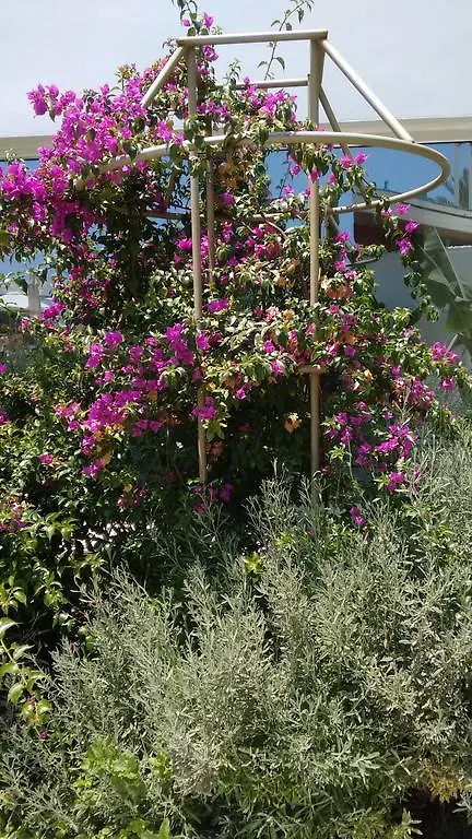 Vrissaki Beach Hotel Protaras
